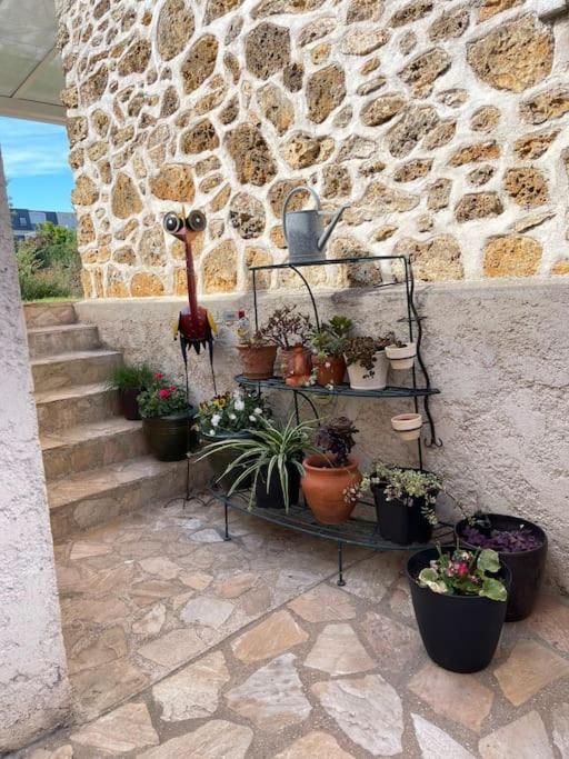 «  La Petite Maison » ....Des Grands Espaces... Saint-Maur-des-Fossés المظهر الخارجي الصورة