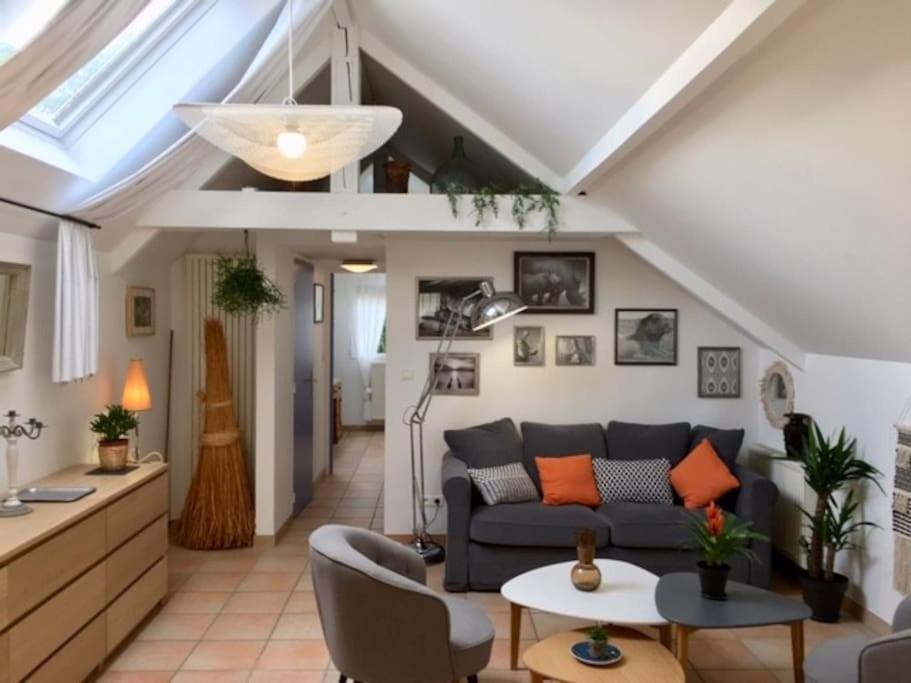 «  La Petite Maison » ....Des Grands Espaces... Saint-Maur-des-Fossés المظهر الخارجي الصورة